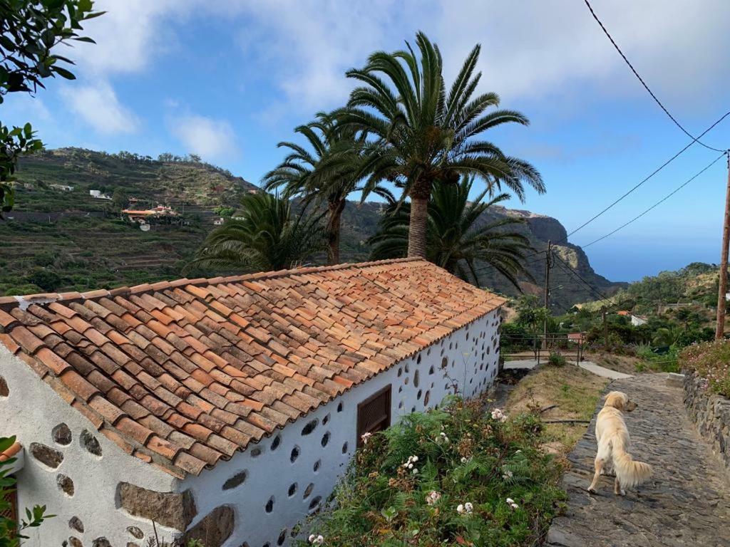 阿古洛Casa Rural Emilia别墅 外观 照片